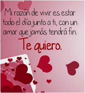 Frases De Amor Para Enamorar Mensajes Para Conquistar 429 469 Todo Amor