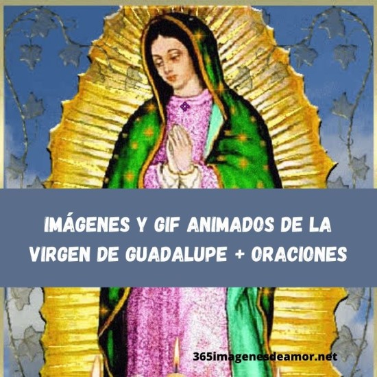 Imágenes y GIF animados de la Virgen de Guadalupe + oraciones para descargar gratis