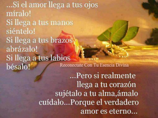 Hermosas Imágenes Romanticas Con Reflexiones De Amor