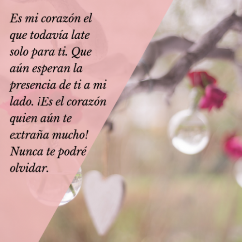 Te Extraño Amor 💕 Frases Mensajes Imágenes Bonitas Y Especiales 1064